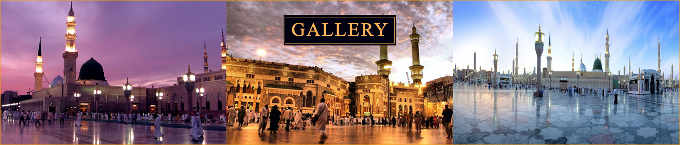 Gallery at standard travels
